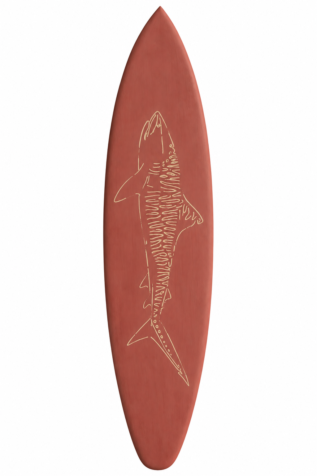 Requin Tigre - Rouge cépage - 50 cm