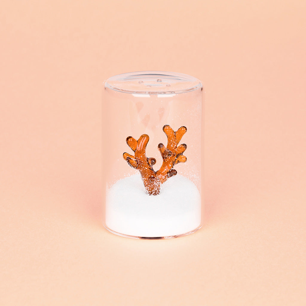 Salière Corail – Balvi – Sel & poivre – vue 3